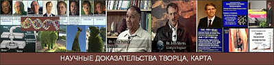 Научные доказательства Творца
